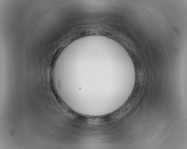 X0000113020757200908271033