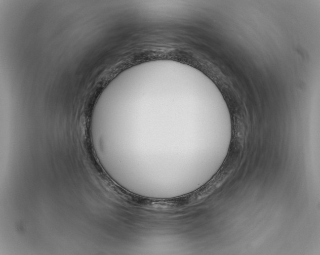 X0000113020758200908271033