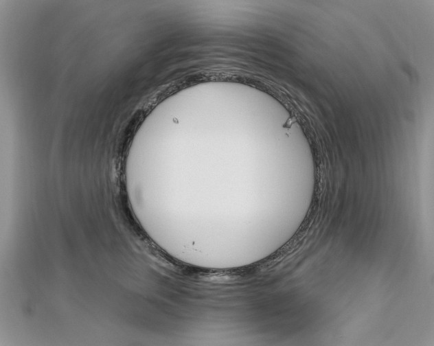 X0000113020759200908271033