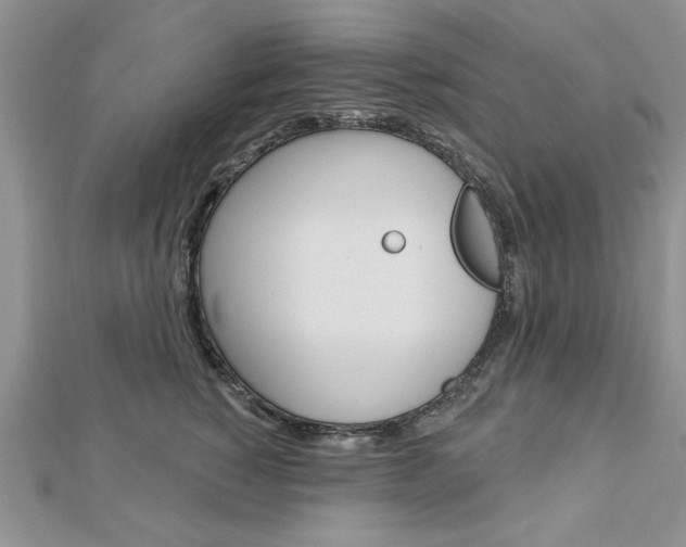 X0000113020760200908271033
