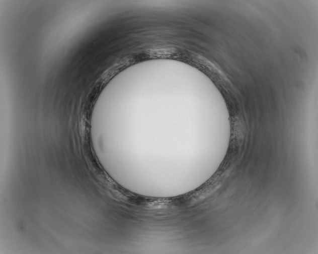 X0000113020761200908271033