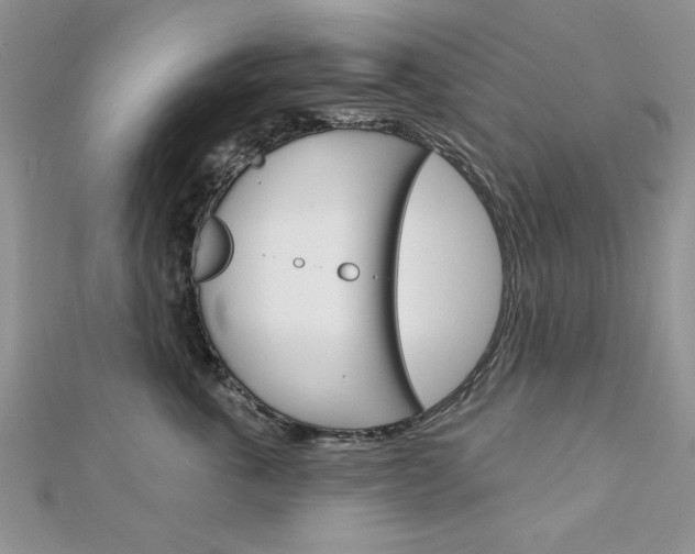 X0000113020763200908271033
