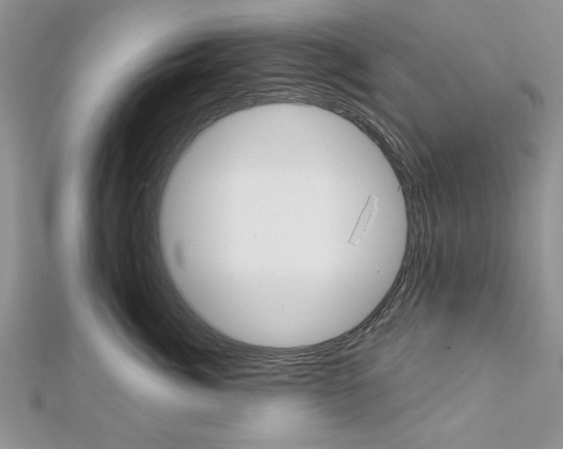 X0000113020764200908271033