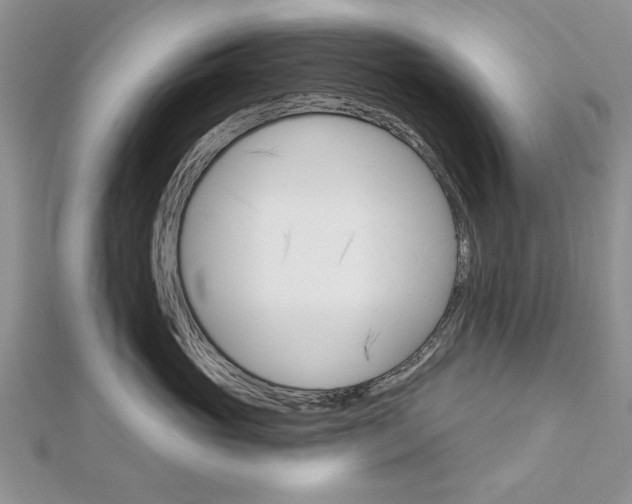 X0000113020765200908271033