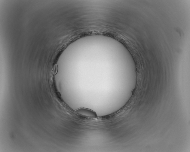 X0000113020768200908271033