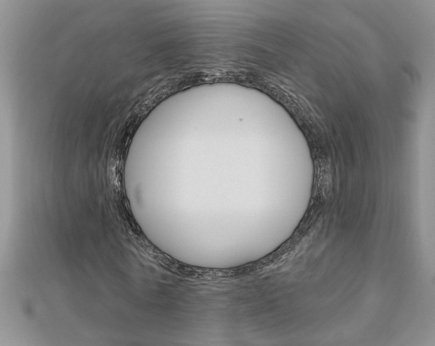 X0000113020770200908271033