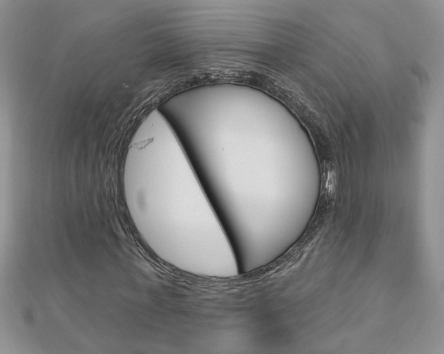 X0000113020771200908271033