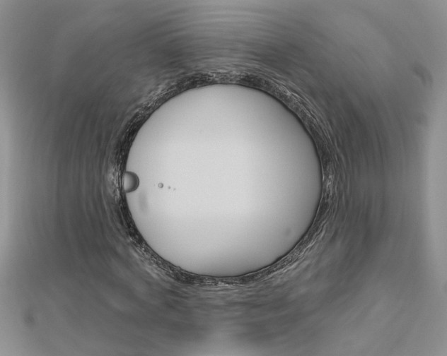 X0000113020772200908271033
