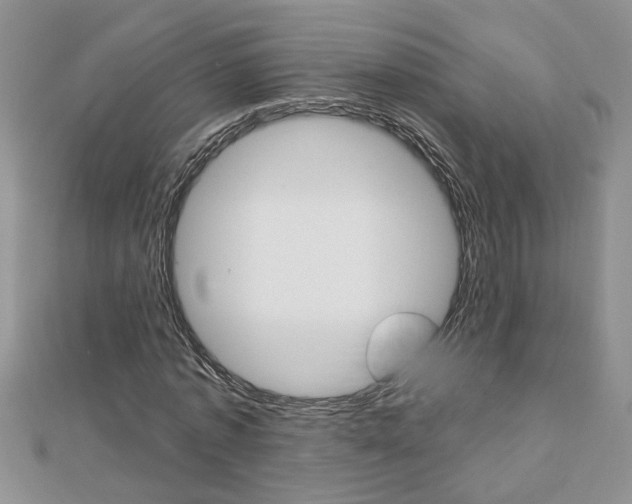 X0000113020773200908271033
