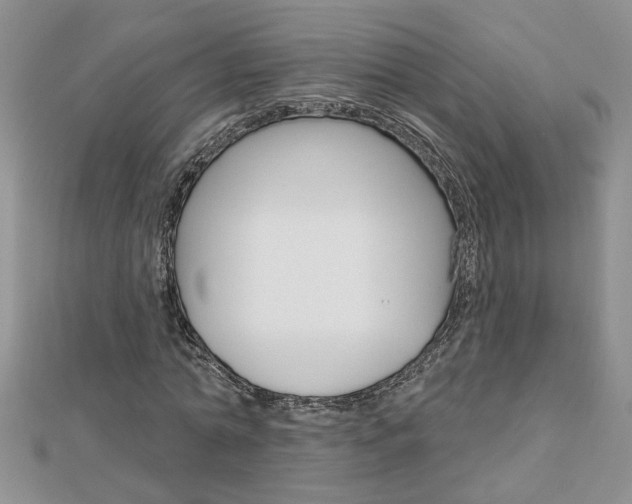 X0000113020774200908271033