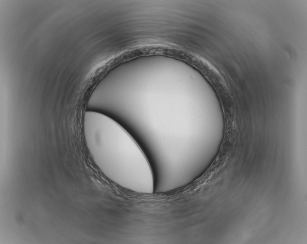 X0000113020775200908271033