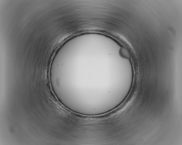 X0000113020777200908271033
