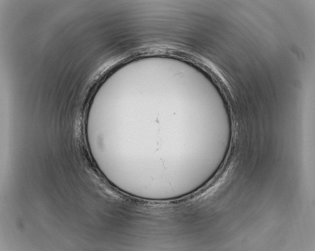 X0000113020778200908271033