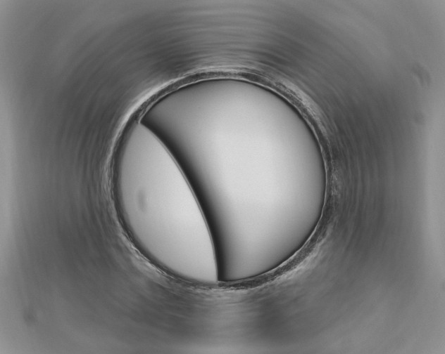 X0000113020779200908271033