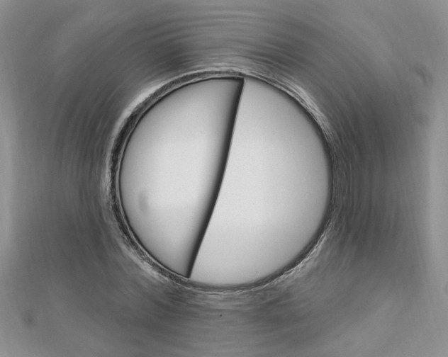 X0000113020780200908271033