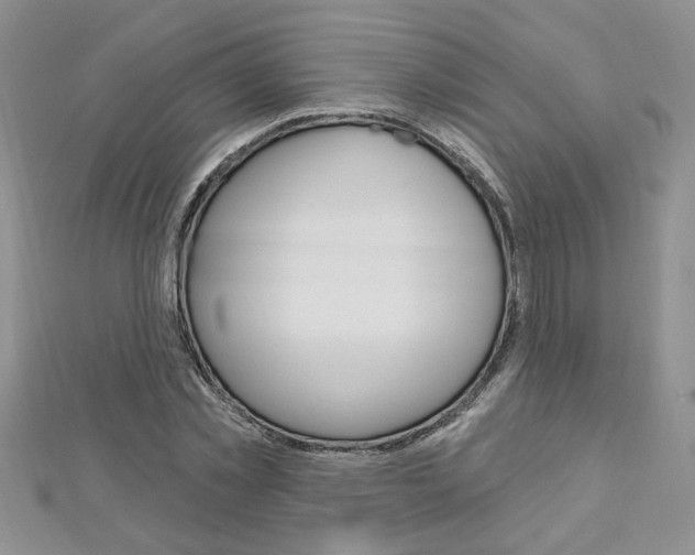X0000113020781200908271033