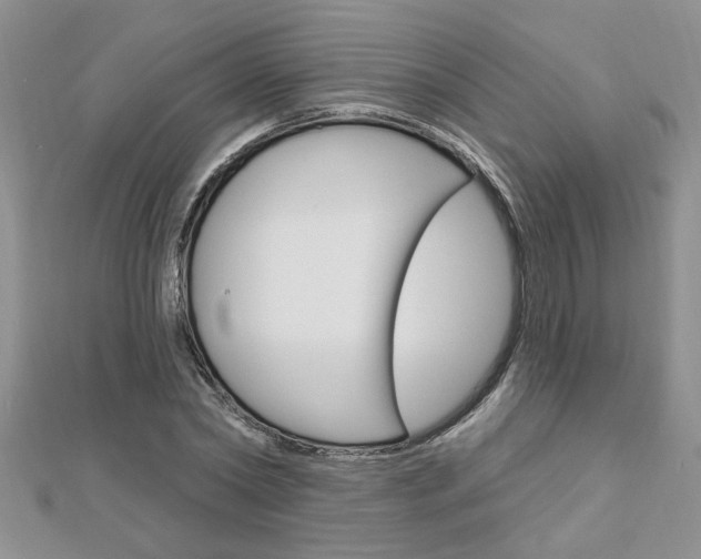 X0000113020782200908271033