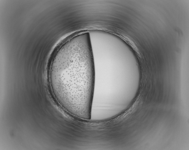 X0000113020784200908271032