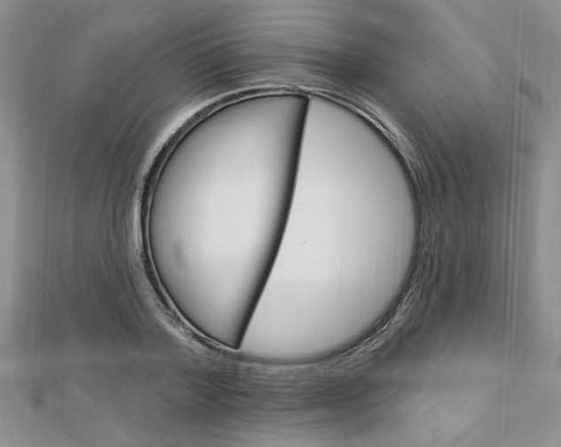 X0000113020788200908271032