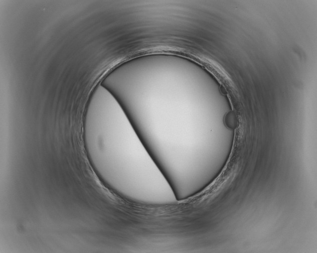 X0000113020793200908271032