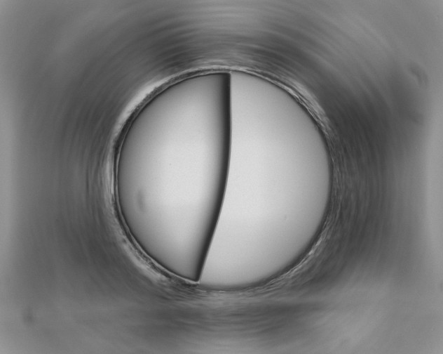 X0000113020796200908271032