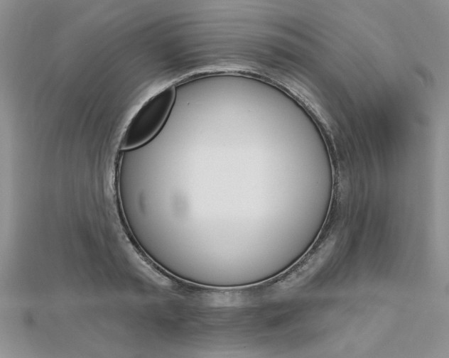 X0000113020797200908271032