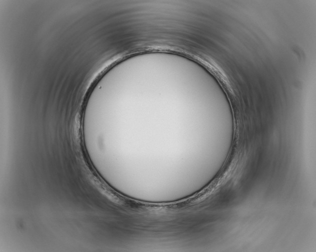 X0000113020798200908271032