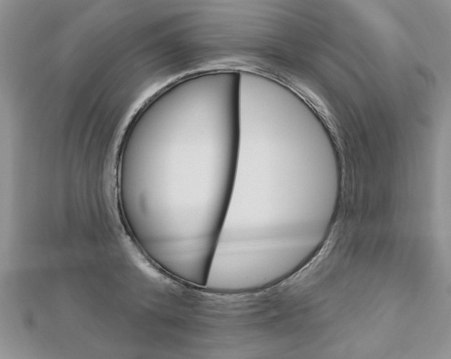 X0000113020800200908271032