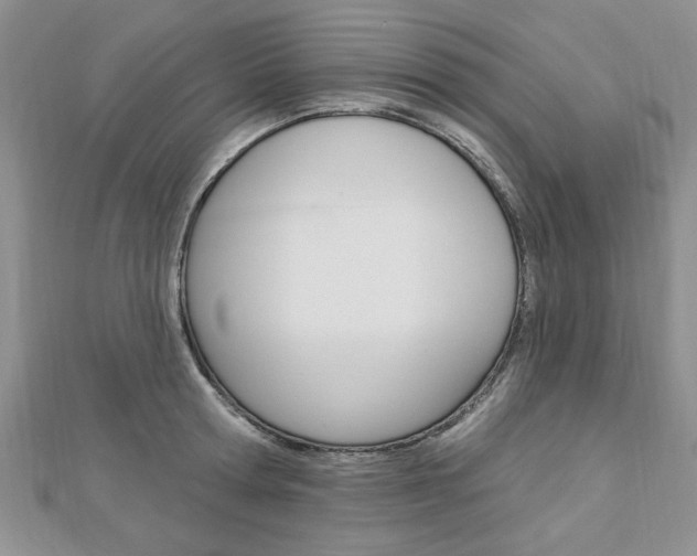 X0000113020802200908271032