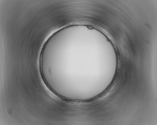 X0000113020803200908271032