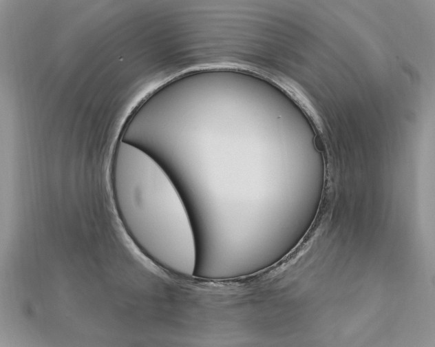 X0000113020805200908271032