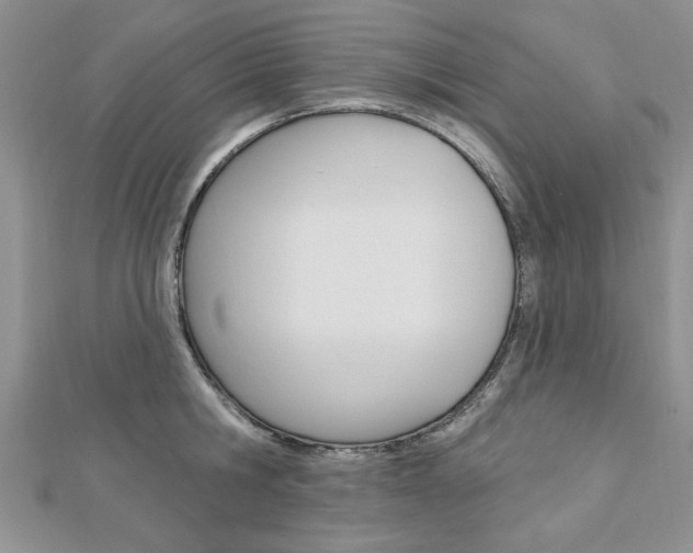 X0000113020806200908271032