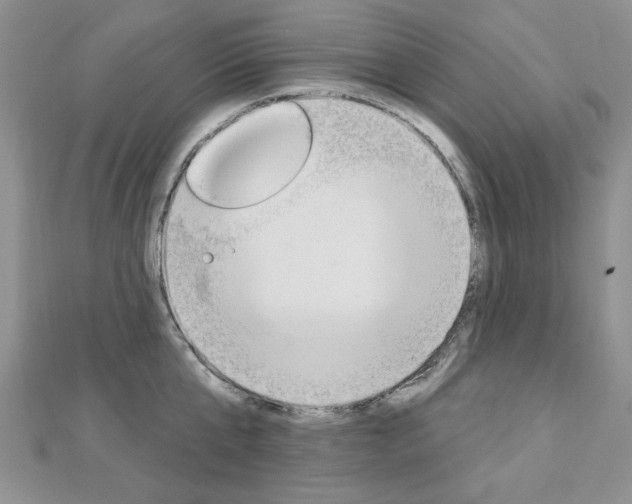 X0000113020807200908271032