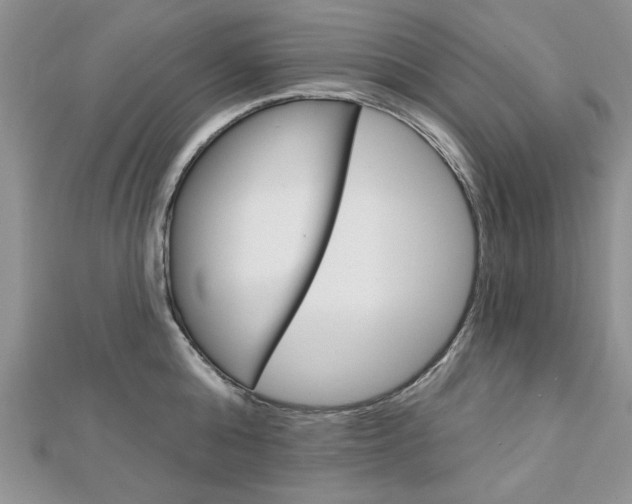X0000113020808200908271032