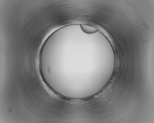 X0000113020811200908271032