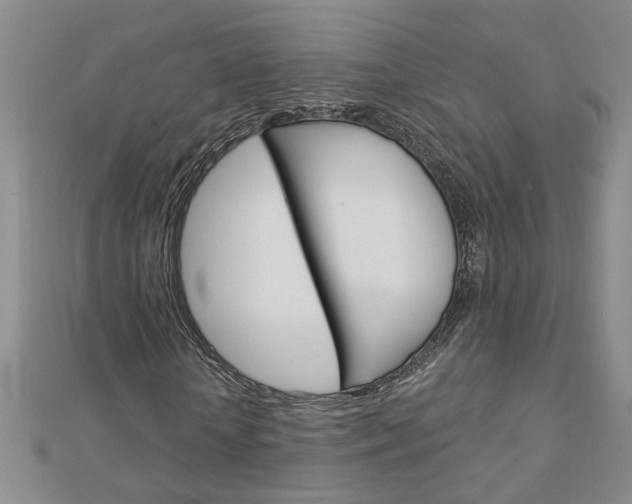 X0000113020818200908271031