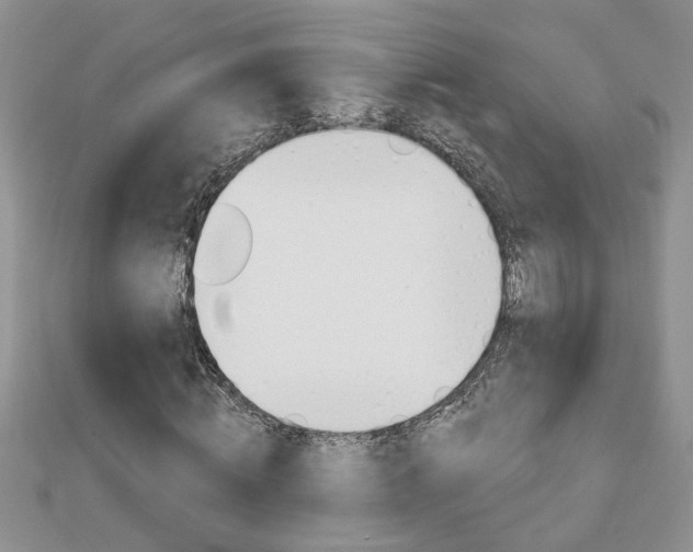 X0000113020820200908271031