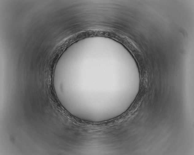 X0000113020821200908271031