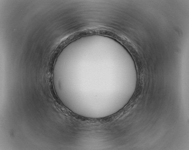 X0000113020822200908271031