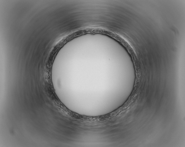 X0000113020823200908271031