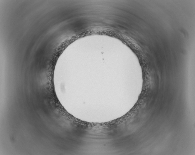 X0000113020824200908271031