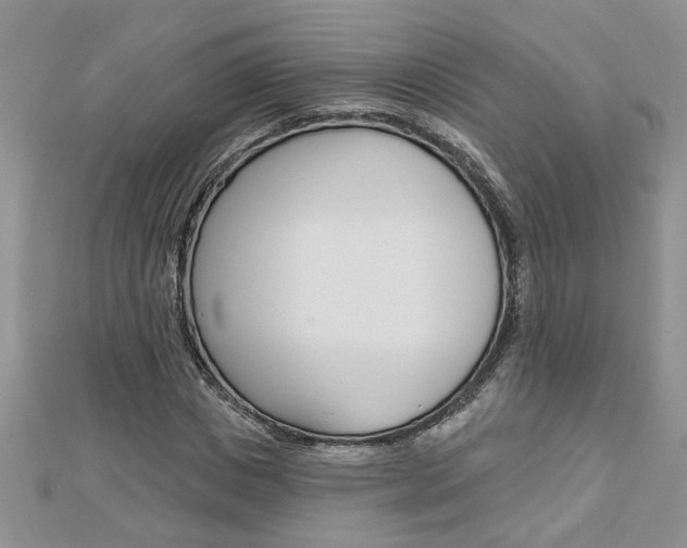 X0000113020825200908271031