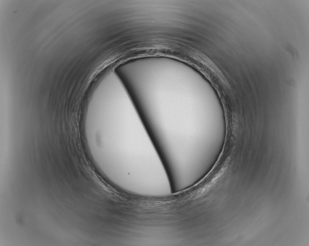 X0000113020826200908271031