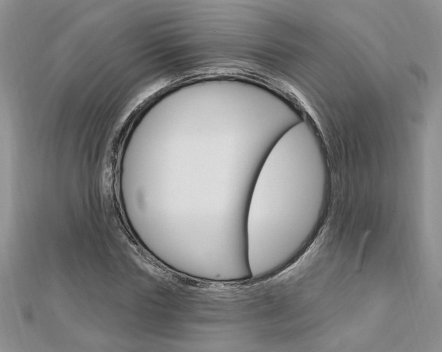 X0000113020827200908271031