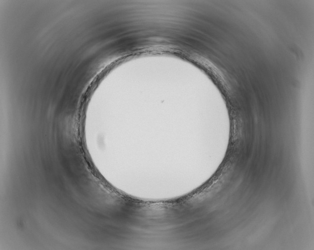 X0000113020828200908271031
