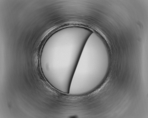X0000113020829200908271031