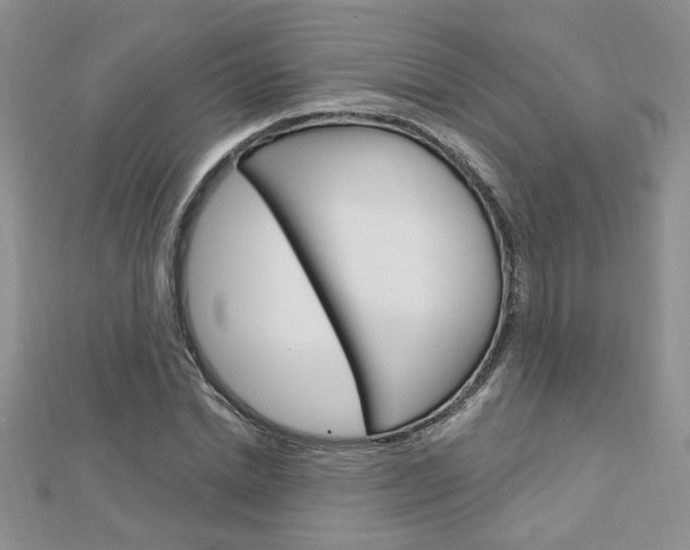X0000113020830200908271031