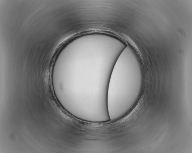 X0000113020831200908271031