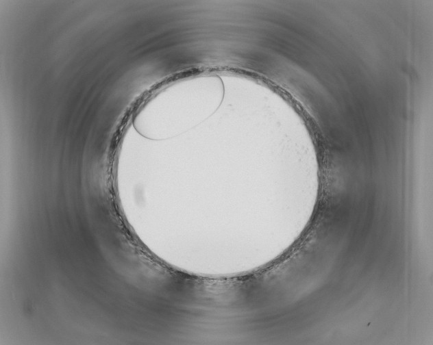 X0000113020832200908271031