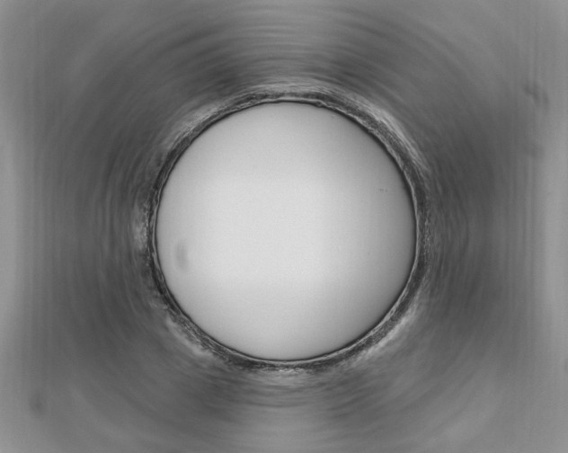 X0000113020833200908271031